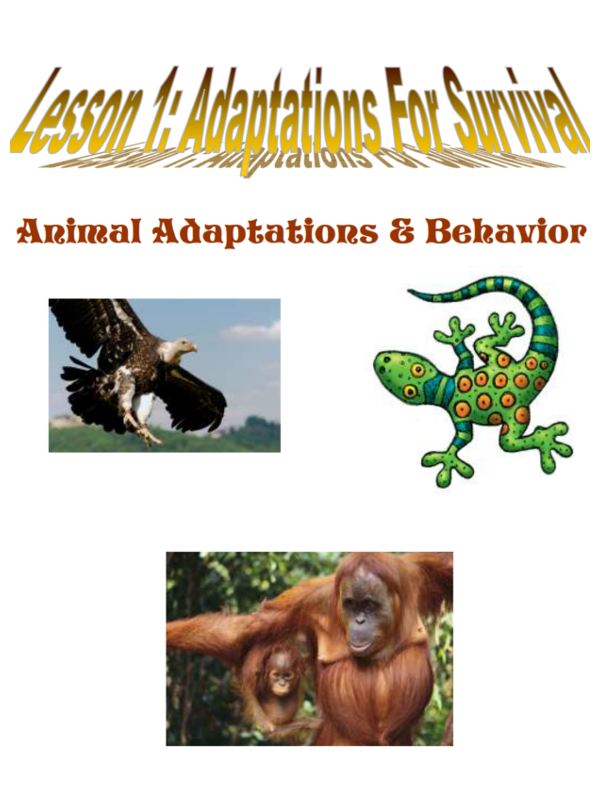 Wildlife Adaptations and Behavior Activity Book