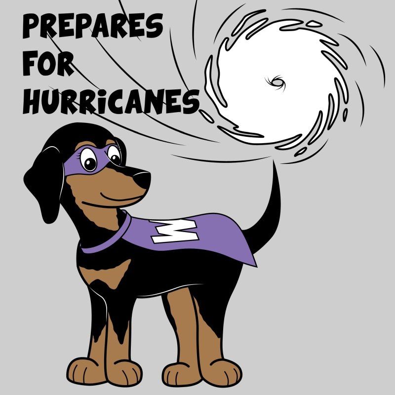 Hurricane Preparedness Activity Book