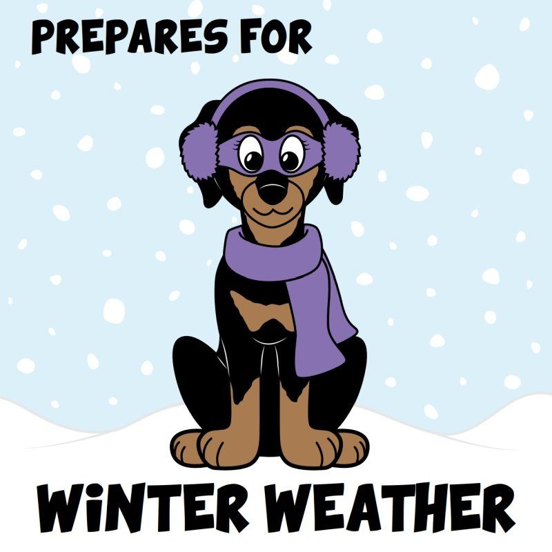 Winter Weather Preparedness Activity Book