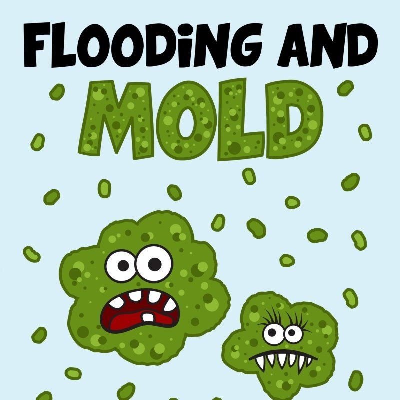 Flooding and Mold Safety Awareness