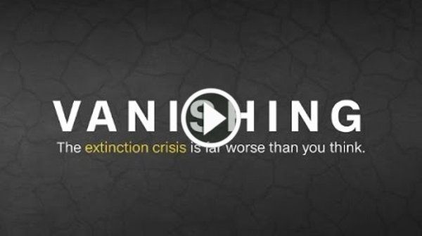 Extinction Crisis is Worse