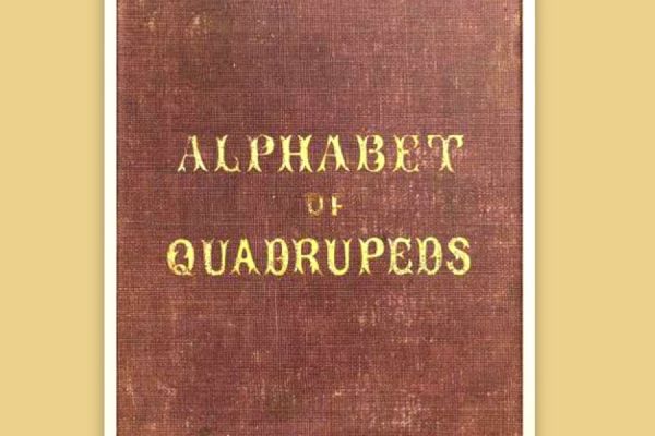 an-alphabet-of-quadrupeds-164E014D0-9331-1E87-B34F-8F34B82A93F9.jpg
