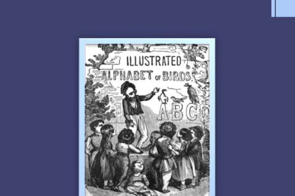 the-illustrated-alphabet-of-birds-14B81A2E2-3A4C-B679-60C0-6653AB92CCE4.jpg